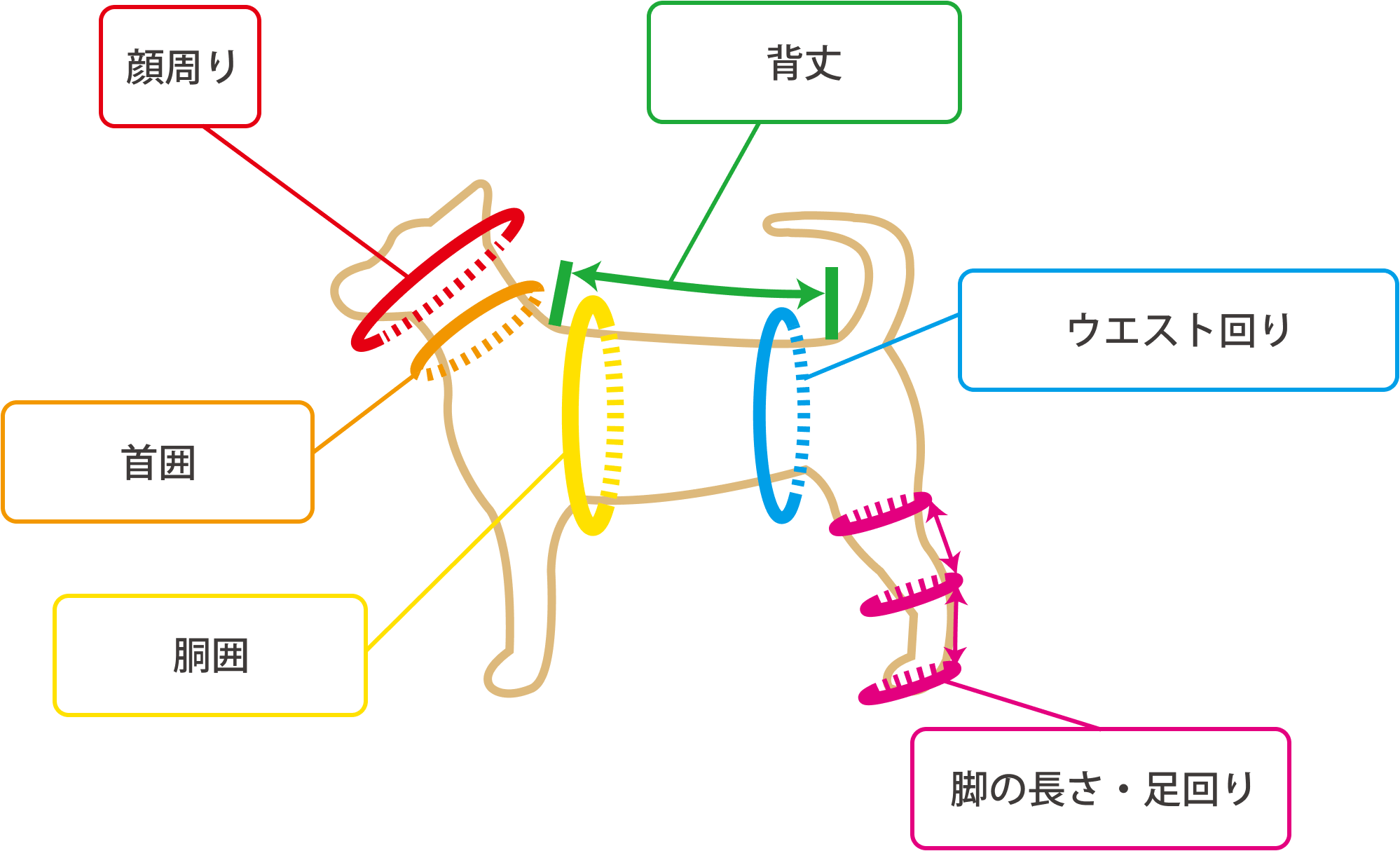 一覧