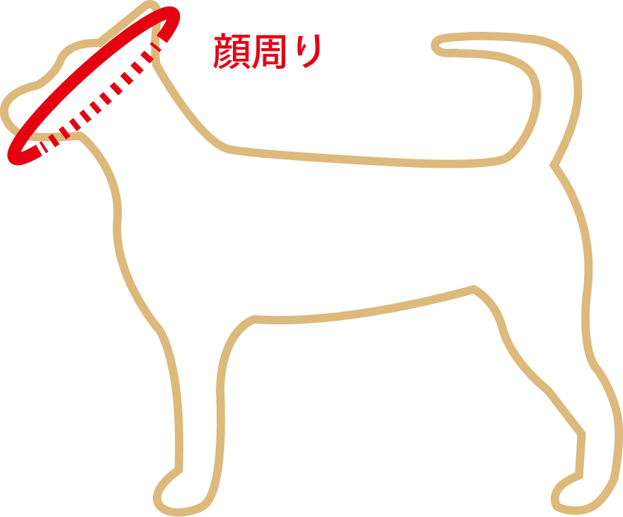 かぶりものキャップの対象位置