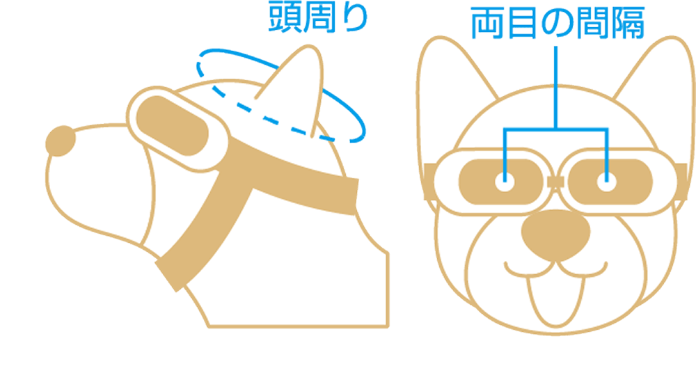 サングラスの対象位置