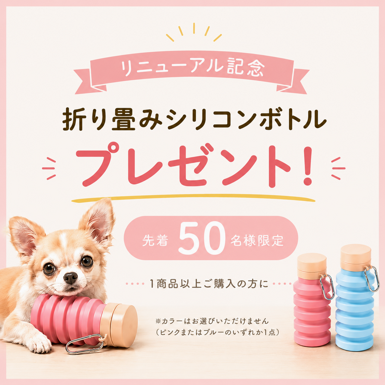 先着50名ボトルプレゼント