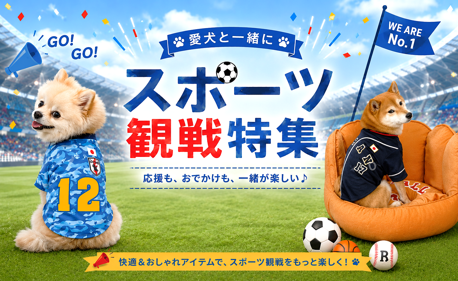 スポーツ観戦