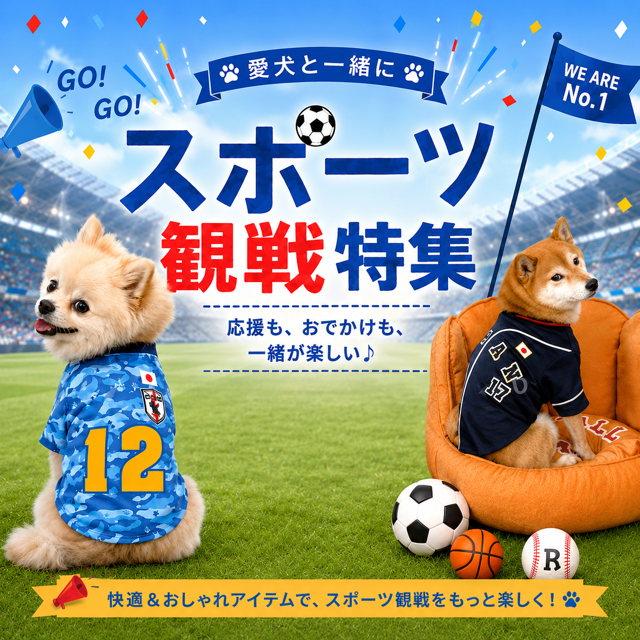 スポーツ観戦